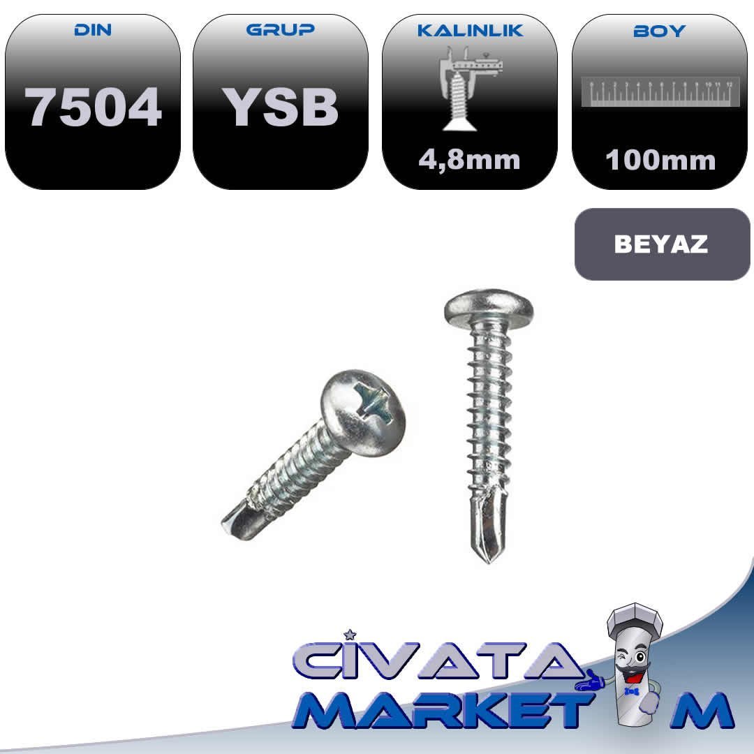 4,8x100 YSB MATKAP UCLU VİDA DIN7504 BYZ