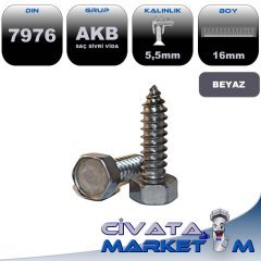 5,5x16 AKB SAC VİDA DIN7976 BYZ