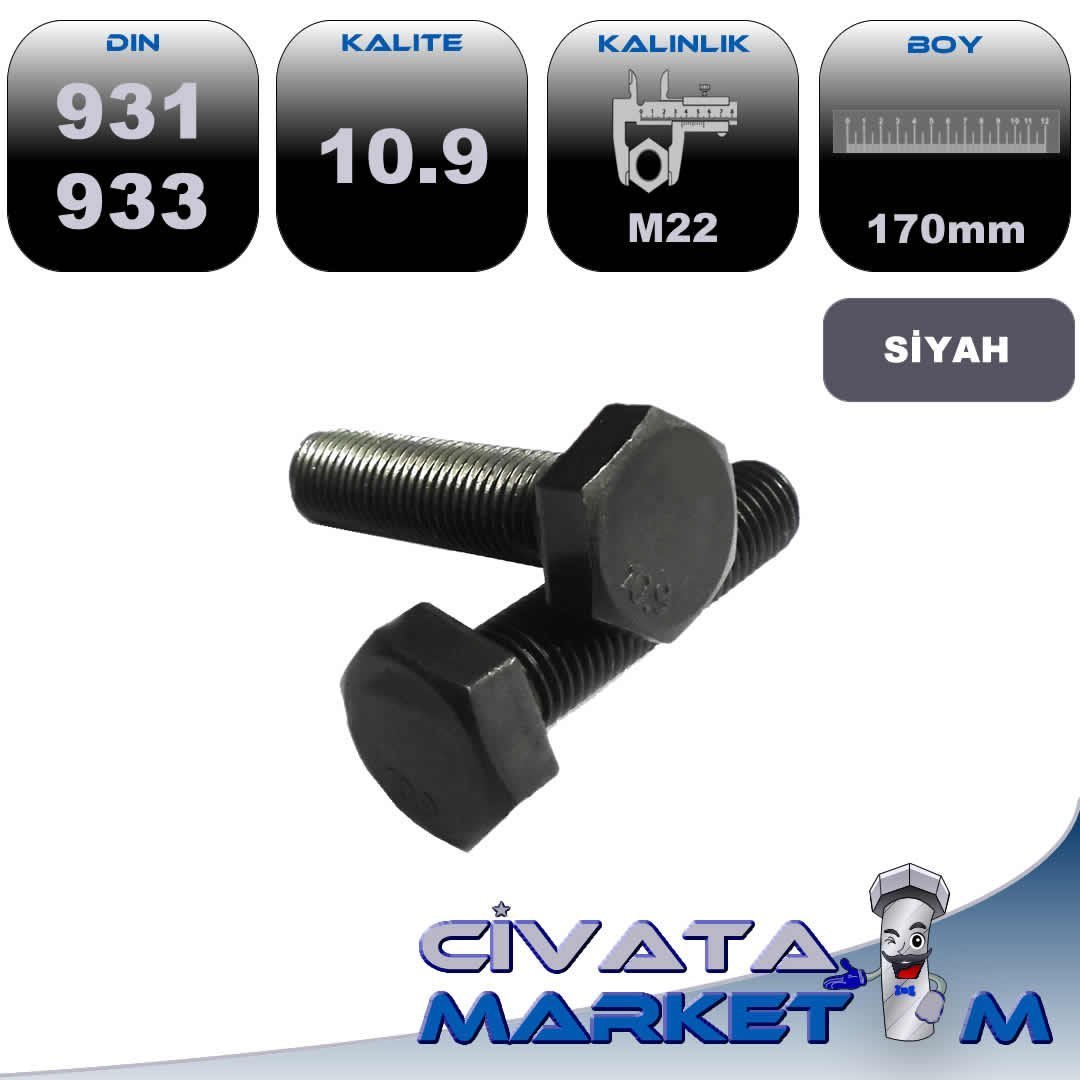 M22*170 ANAHTAR BAŞ CİVATA DIN 931-933 10,9