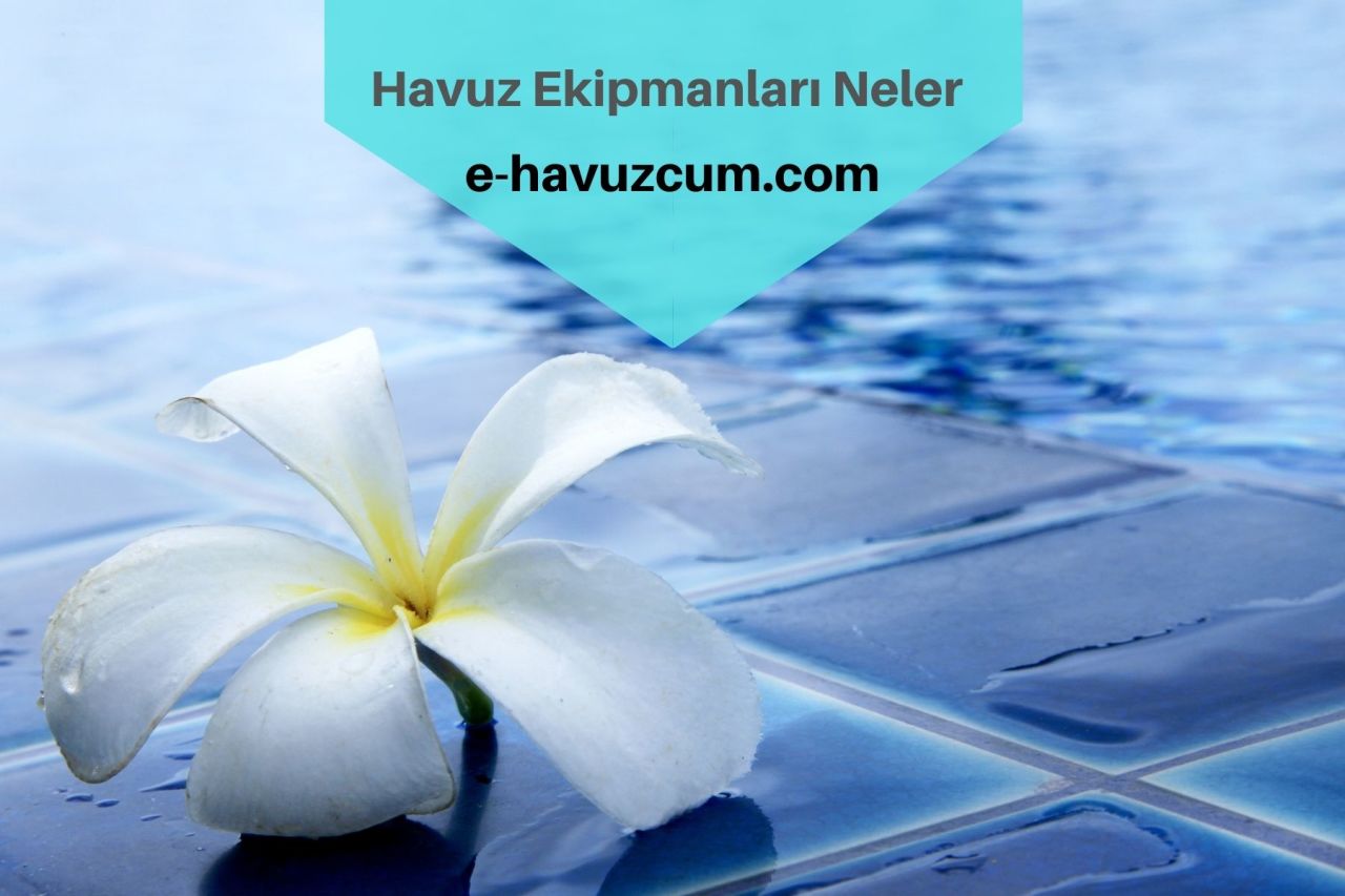 Havuz Ekipmanları Nelerdir