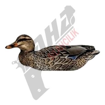 NRA FUD Mallard Ducks Ördek Mühre-(3 ERKEK-3 DİŞİ)