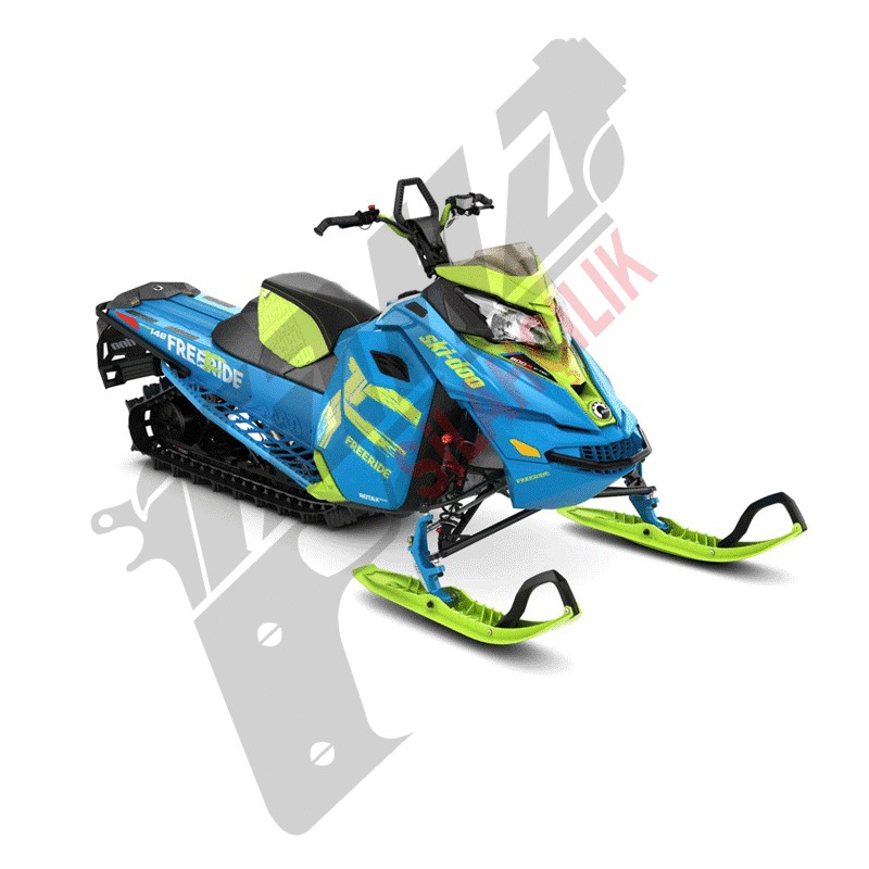 Ski-Doo Freeride Std 146 Kar Motoru