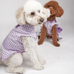 Lilac Gingham Shirt Lila Pötikare Gömlek Kedi Köpek Gömleği Kedi Köpek Kıyafeti