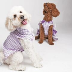 Lilac Gingham Shirt Lila Pötikare Gömlek Kedi Köpek Gömleği Kedi Köpek Kıyafeti