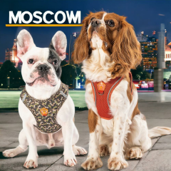 Moscow 2li Air-mesh Köpek Göğüs Tasması Kedi Göğüs Tasması Köpek Tasması