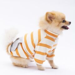 Sarı Çizgili Teddy Ayıcık Bear Kedi- Köpek Sweatshirt  Kedi Köpek Kıyafeti Köpek Giysisi