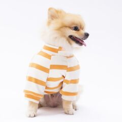 Sarı Çizgili Teddy Ayıcık Bear Kedi- Köpek Sweatshirt  Kedi Köpek Kıyafeti Köpek Giysisi