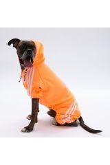 Turuncu Tuta Orta ve Büyük Irk Köpek Tulumu Köpek Kıyafeti