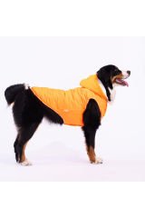 Neon Turuncu Railway Orta ve Büyük Irklar İçin Anorak Köpek Yeleği Köpek Kıyafeti Köpek Yağmurluk
