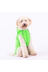 Neon Yeşil Railway Orta ve Büyük Irklar İçin Anorak Köpek Yeleği Köpek Kıyafeti Köpek Yağmurluk
