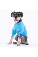 Turkuaz Power Köpek Sweati Köpek Kıyafeti Kedi Kıyafeti
