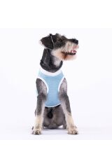 Buz Mavi Lazy Kedi Köpek Tişörtü - Kedi Köpek Kıyafeti
