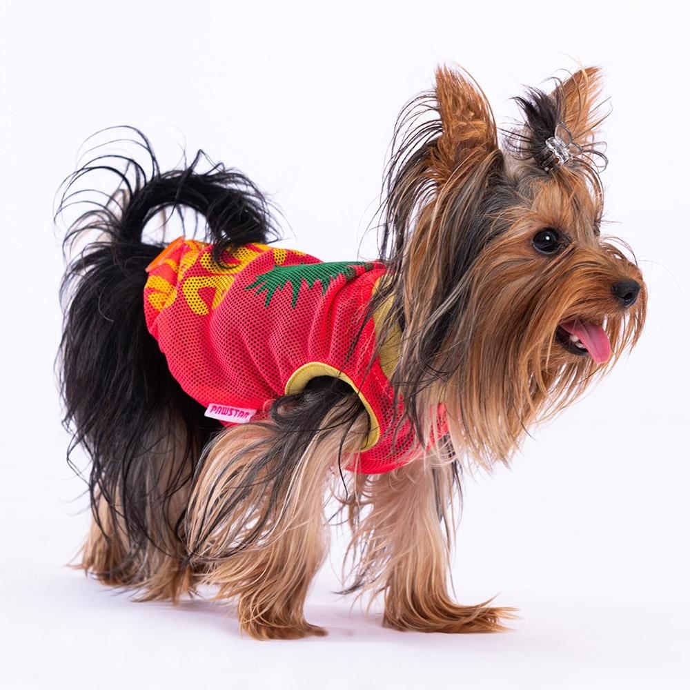 Pineapple Mesh Kedi Köpek Tişörtü - Kedi Köpek Kıyafeti