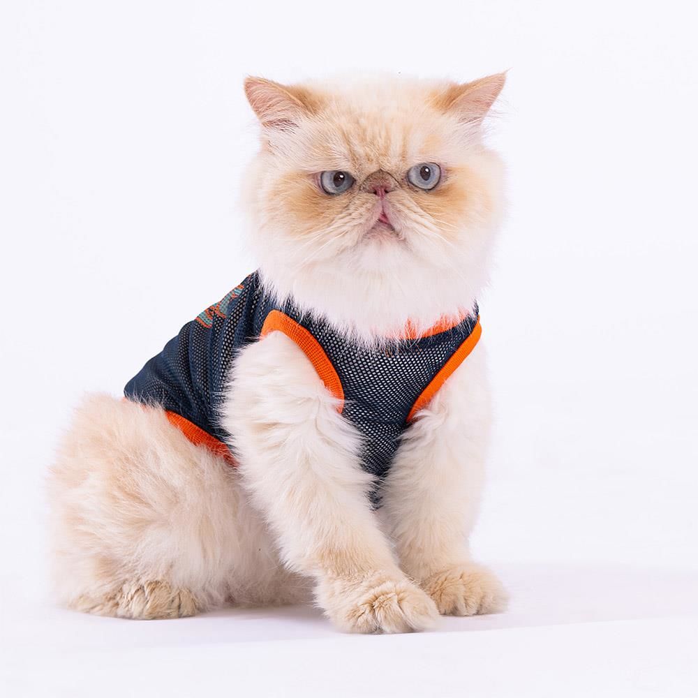 Cool Dude Mesh Kedi Köpek Tişörtü - Kedi Köpek Kıyafeti