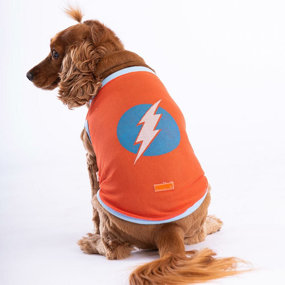 Flash Mesh Kedi Köpek Tişörtü - Kedi Köpek Kıyafeti