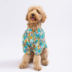 Folia Büyük Köpek Gömleği - Köpek Kıyafeti (15 KG-45 KG)