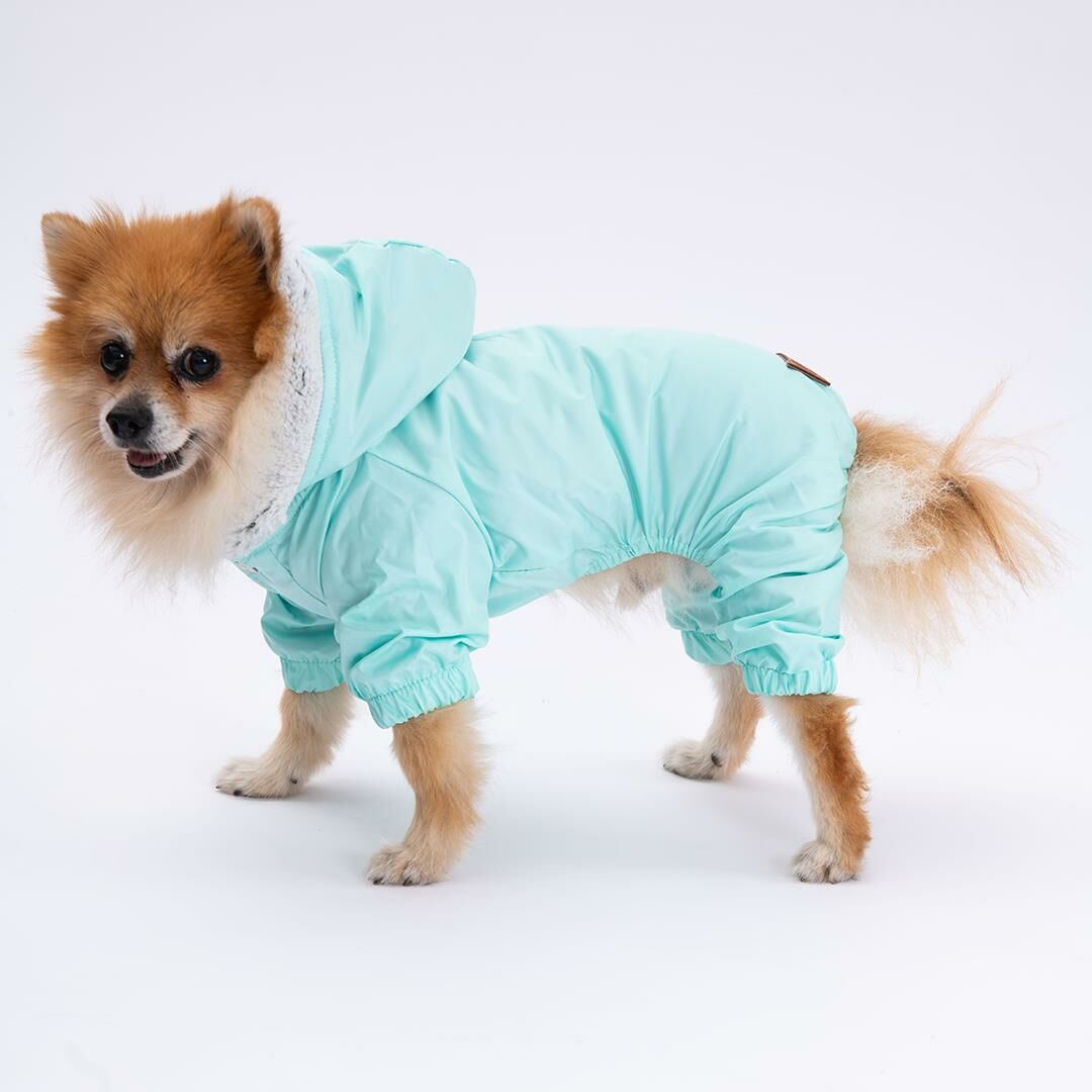 Mint Kürklü Tulum Yağmurluk Küçük Irk Yağmurluk  Köpek Kıyafeti  Köpek Yağmurluğu