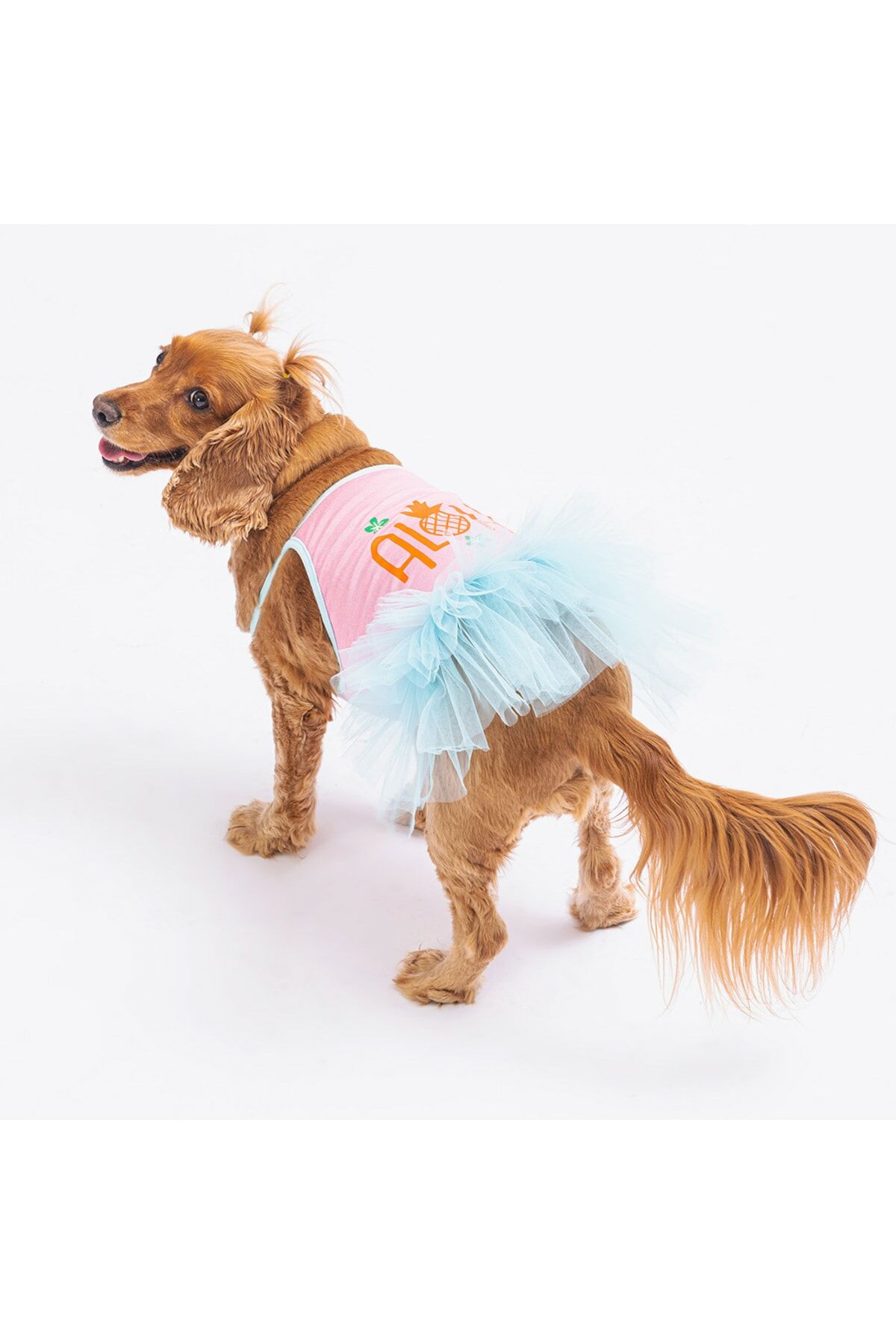 Pembe Aloha Kedi Köpek Elbisesi - Kedi Köpek Kıyafeti