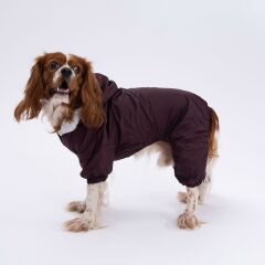 Kahverengi Kürklü Tulum Yağmurluk Küçük Irk Yağmurluk  Köpek Kıyafeti  Köpek Yağmurluğu