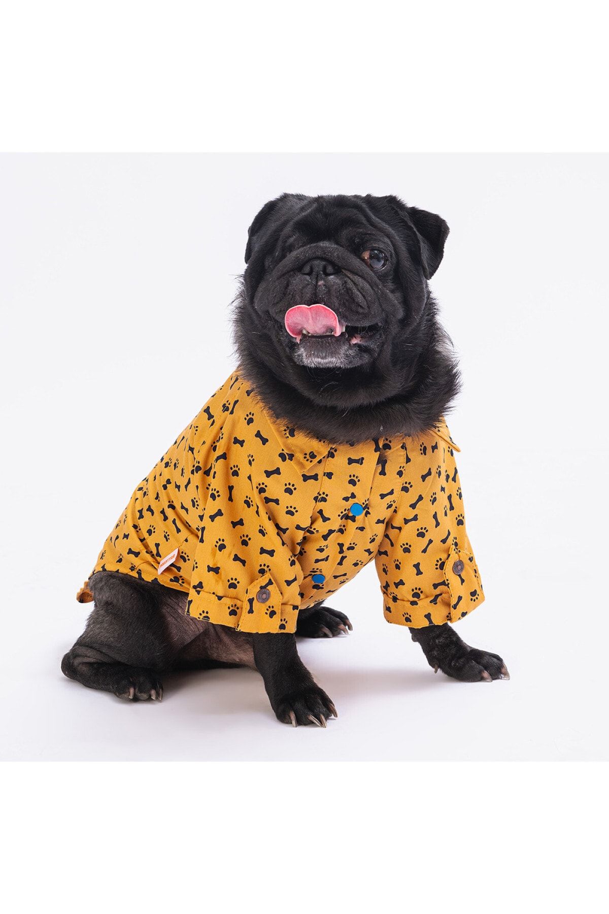 Hardal Ossa Kedi Köpek Gömleği - Kedi Köpek Kıyafeti