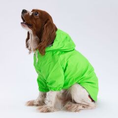 Neon Yeşil  Mont Köpek Mont  Köpek Kıyafeti Köpek Yağmurluğu