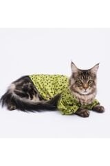 Yeşil Ossa Kedi Köpek Gömleği - Kedi Köpek Kıyafeti