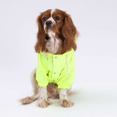 Neon Sarı Mont Köpek Mont Köpek Kıyafeti Köpek Yağmurluğu(Küçük-Büyük Irklar)
