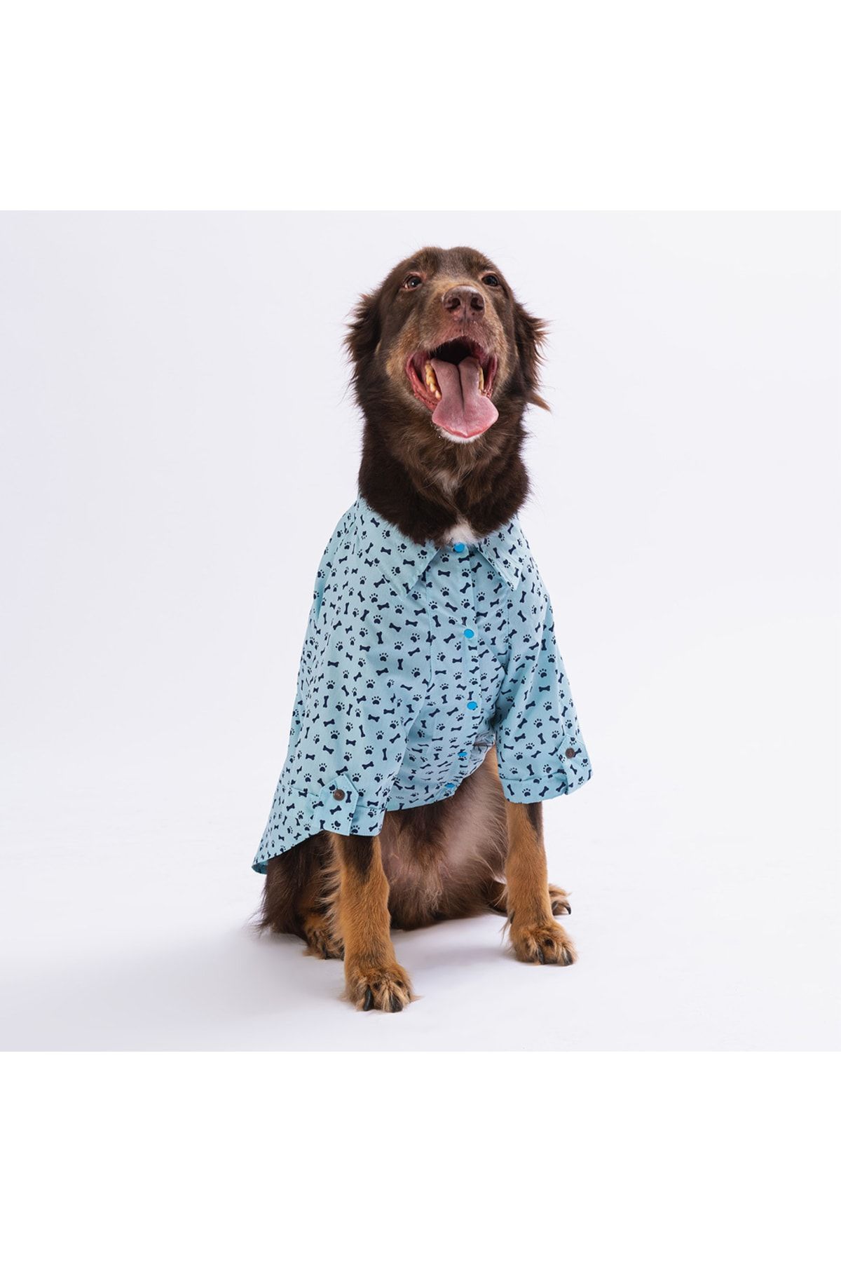 Mavi Ossa Büyük Köpek Gömleği - Köpek Kıyafeti (15 KG-45 KG)