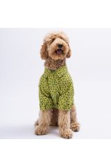 Yeşil Ossa Büyük Köpek Gömleği - Köpek Kıyafeti (15 KG-45 KG)
