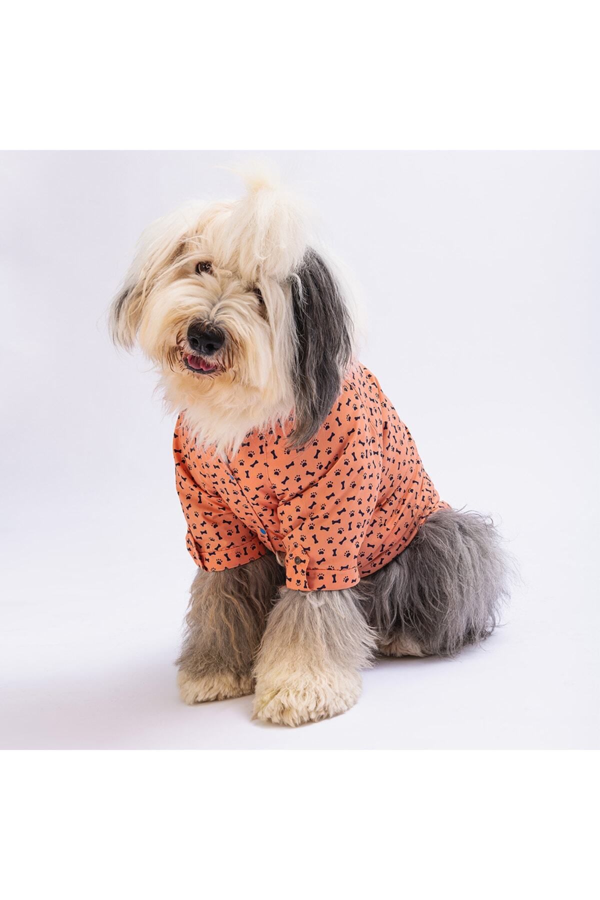 Somon Ossa Büyük Köpek Gömleği - Köpek Kıyafeti (15 KG-45 KG)