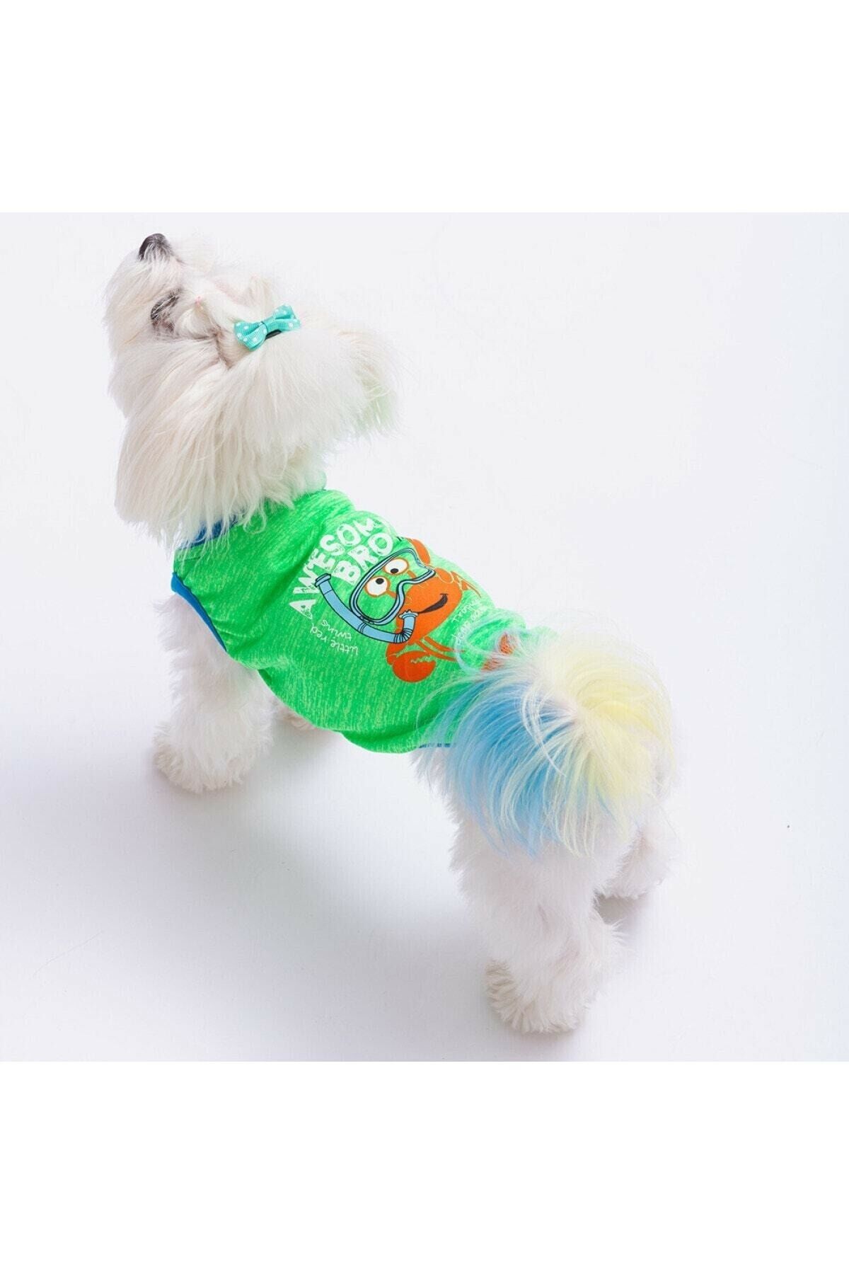 Yeşil Crab Kedi Köpek Tişörtü - Kedi Köpek Kıyafeti