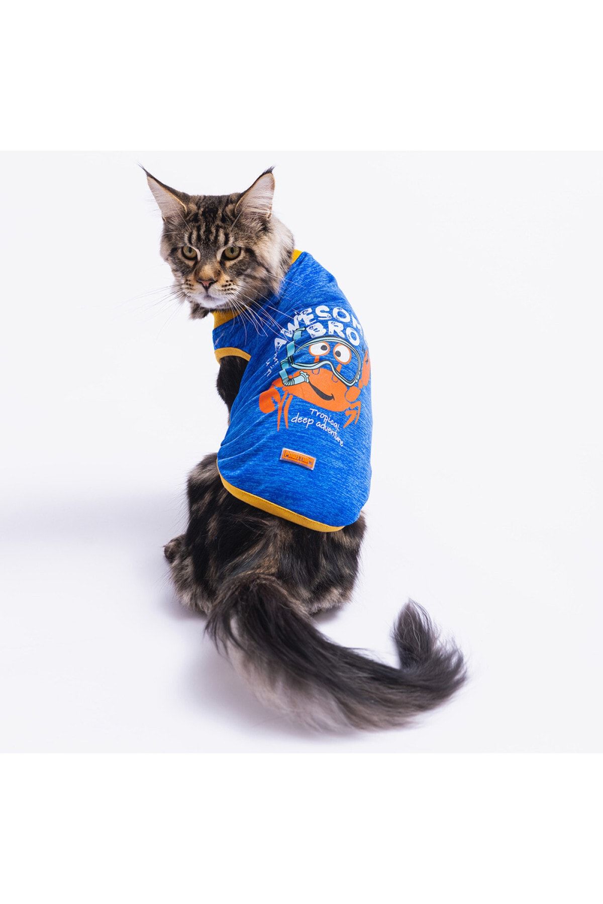 Saks Crab Kedi Köpek Tişörtü - Kedi Köpek Kıyafeti