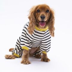 Ayıcık Çizgili Ayılı  Penye Tulum Kedi Köpek Tulumu Kedi Köpek Kıyafeti Köpek Pijaması