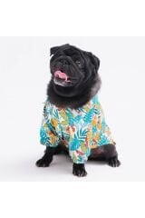 Folia Kedi Köpek Gömleği - Kedi Köpek Kıyafeti