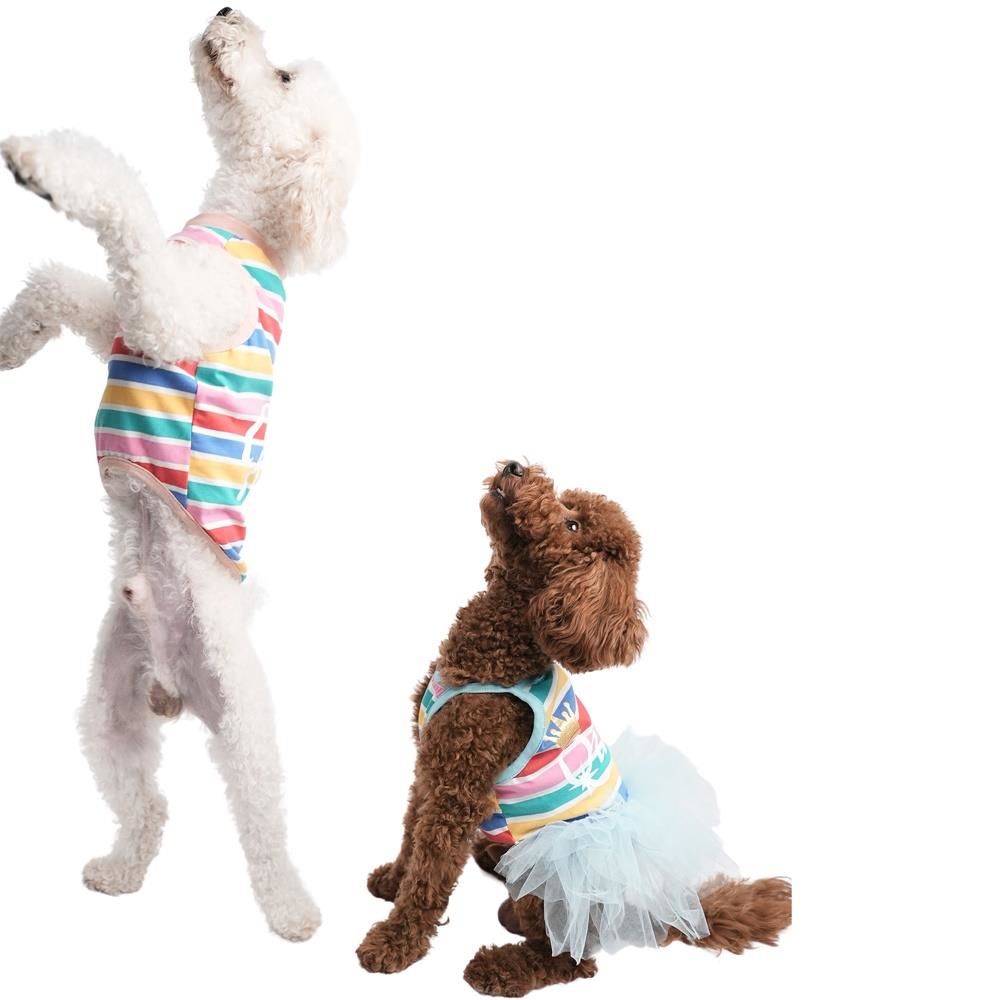 Mint Striped Queen Mint Kraliçe Kedi Köpek Elbisesi Kedi Köpek Kıyafeti