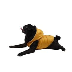 Sarı Sport Anorak Yelek Küçük Ve Orta Irklar İçin Yelek Kedi Köpek Kıyafeti