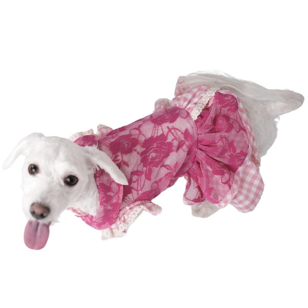 Pink Rose Dress Pembe Gül Elbise Kedi Köpek Elbisesi Kedi Köpek Kıyafeti