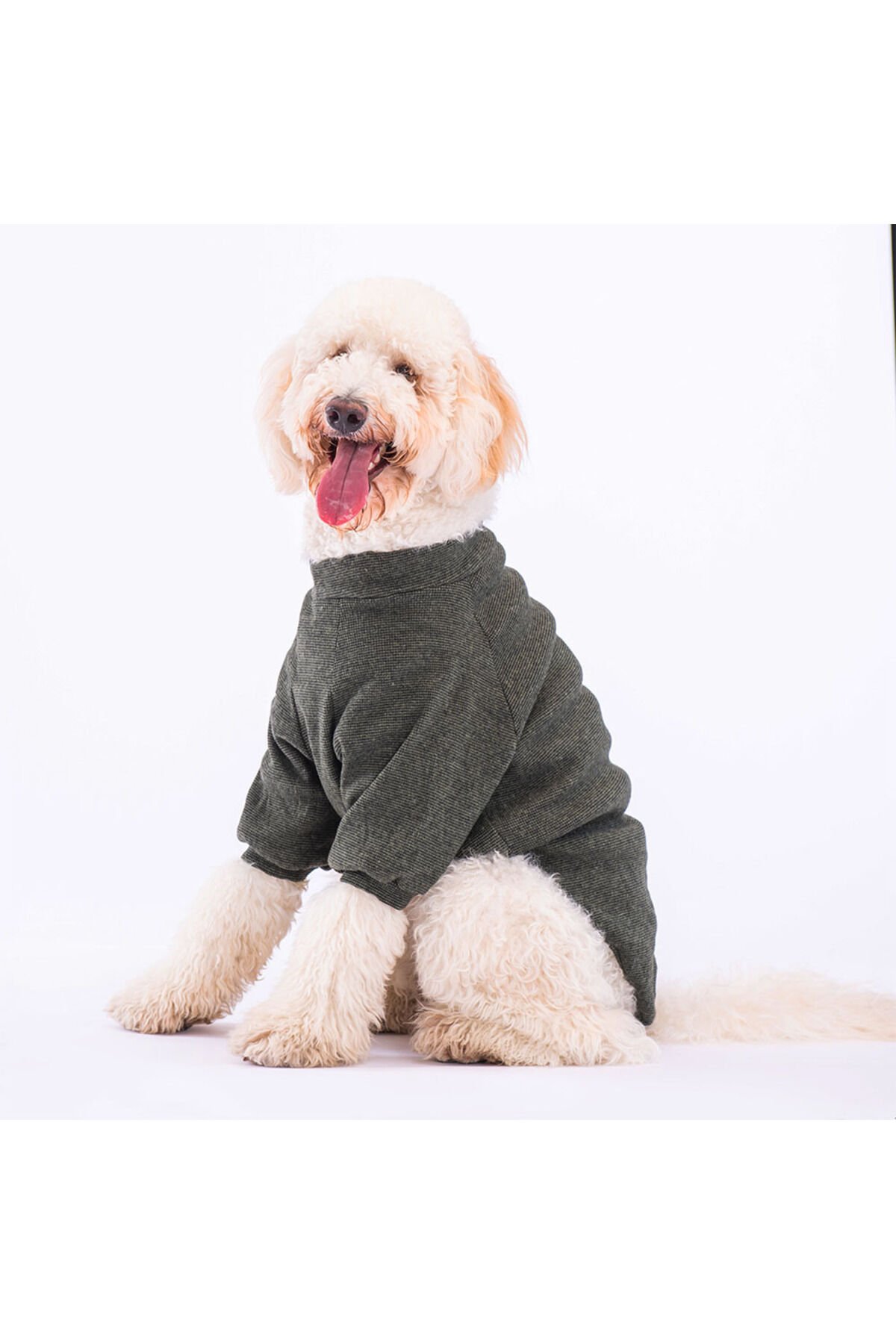 Haki Triko Orta ve Büyük Irk Köpek Sweati Köpek Trikosu Köpek Kıyafeti