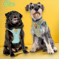 Pisa 2li Air-mesh Köpek Göğüs Tasması Kedi Göğüs Tasması Köpek Tasması