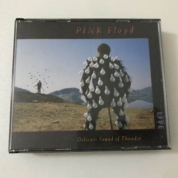 Pink Floyd ‎– Delicate Sound Of Thunder 2 CD
