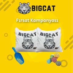 Bigcat Klasik Fırsat Kampanyası Kedi Kumu