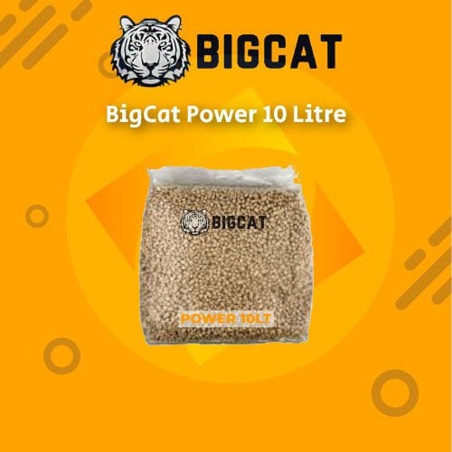 BigCat - Power 10 Litre Organik Kedi Kumu