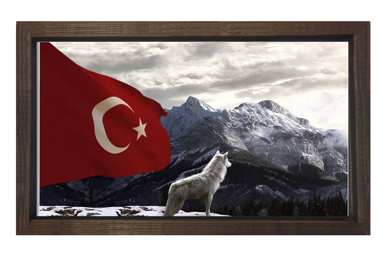 Bozkurt Ve Türk Bayrağı Tablosu