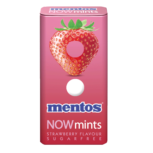 Mentos Now Mints 18gr