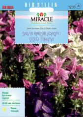 Miracle Salvia Horminum Karışık Renkli Adaçayı Çiçeği Tohumu (350 tohum)