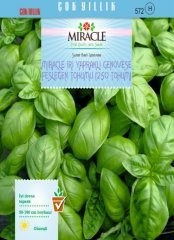 Miracle İri Yapraklı Genovese Fesleğen Tohumu (250 tohum)