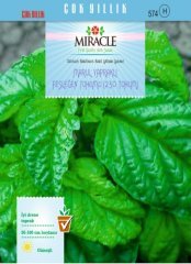 Miracle Marul Yapraklı Fesleğen Tohumu (250 tohum)