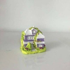 Minyatür Ev 2d-Teraryum Biblosu