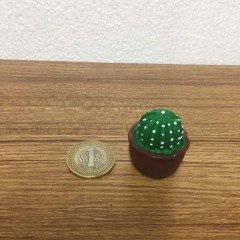 Minyatür Kaktüs -Teraryum Biblosu