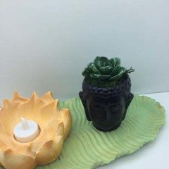 Lotus Çiçeği ve Buddha